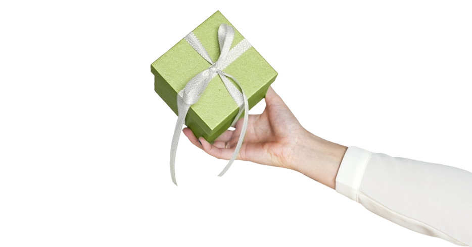 ecommerce-development-services