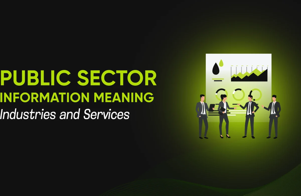 Public Sector Information: Meaning, Industries, and Services