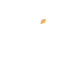 AI-Solutions