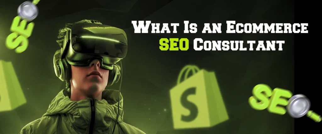 Ecommerce SEO Consultant